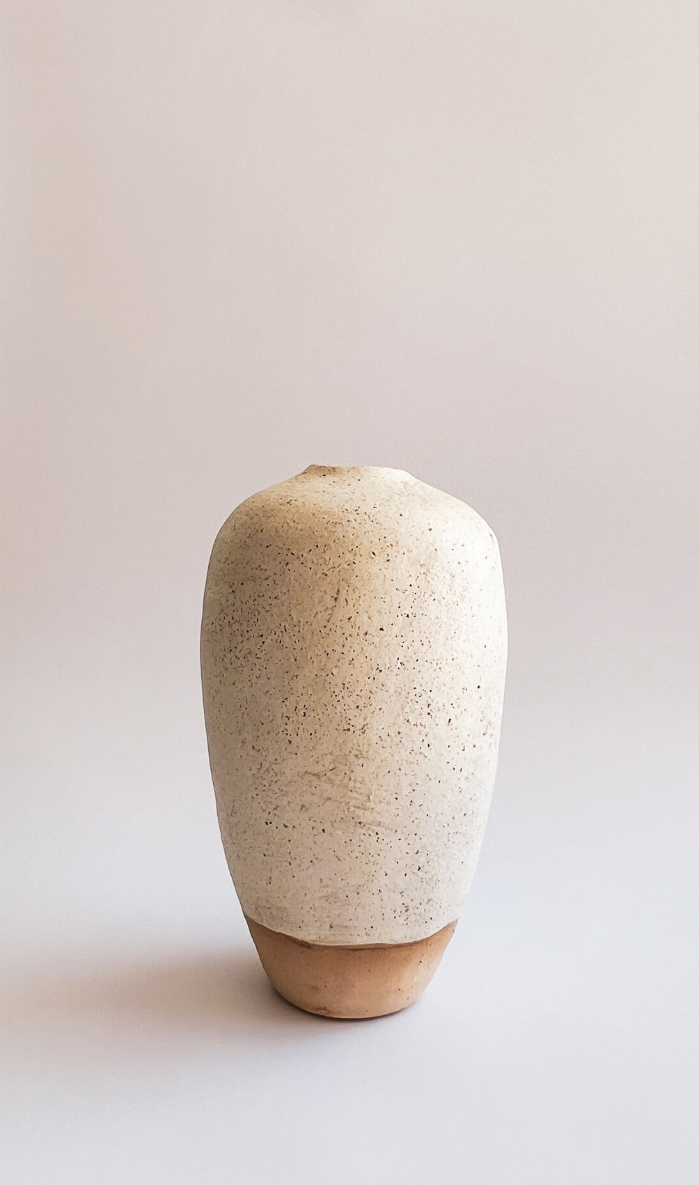 organic-home-decor-minimalist-vase