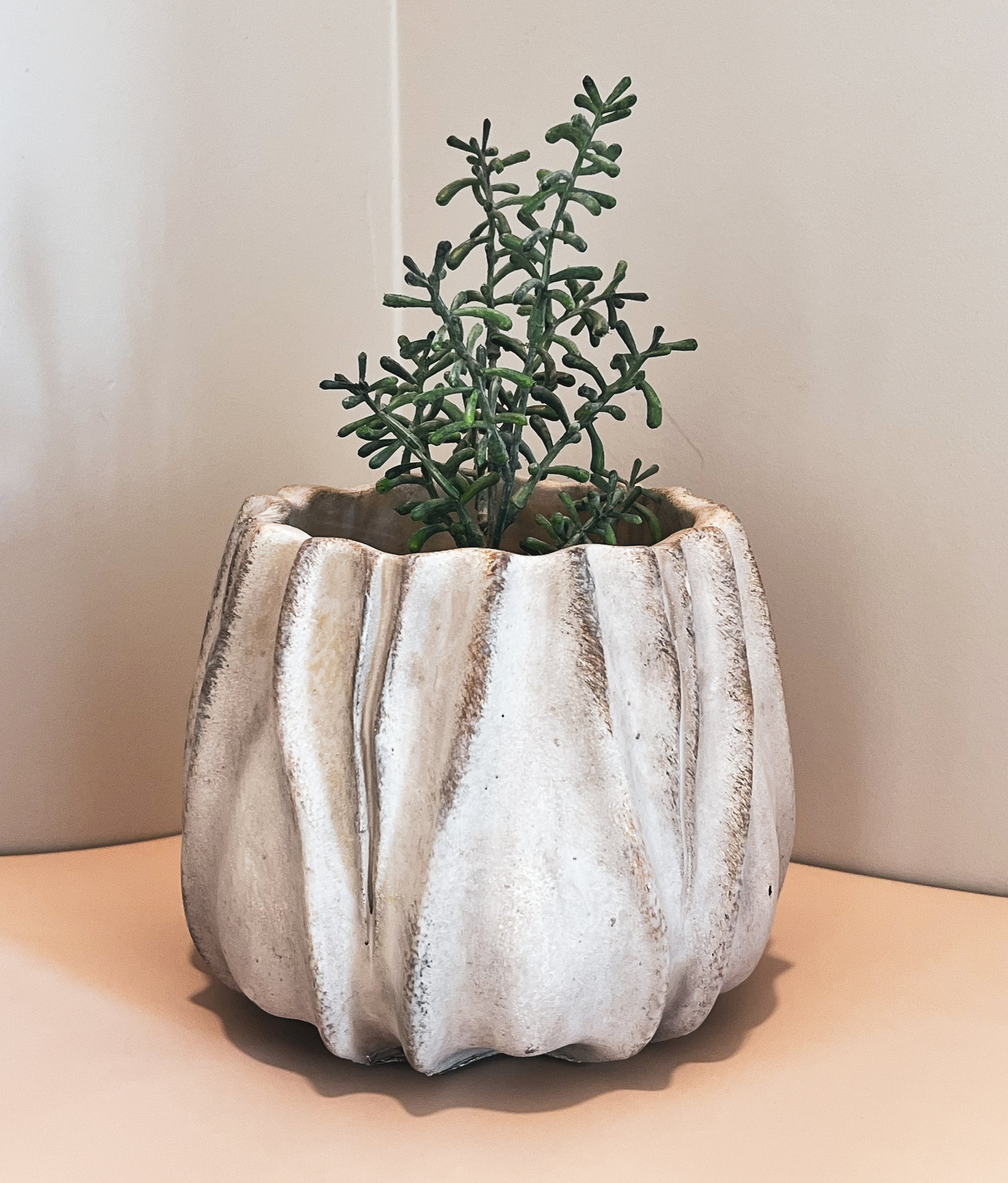 planter-pot-vase-concrete-modern-home-decor